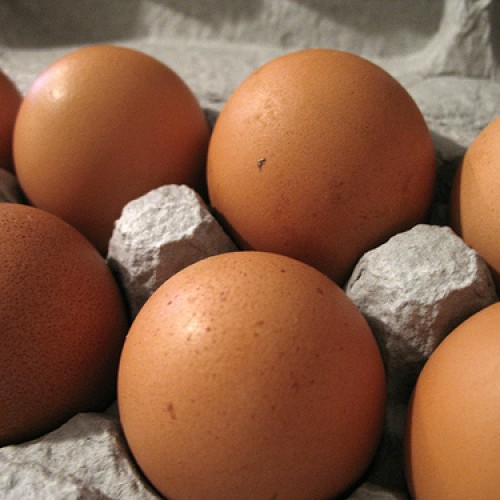 Fresh non-hatching brown eggs
